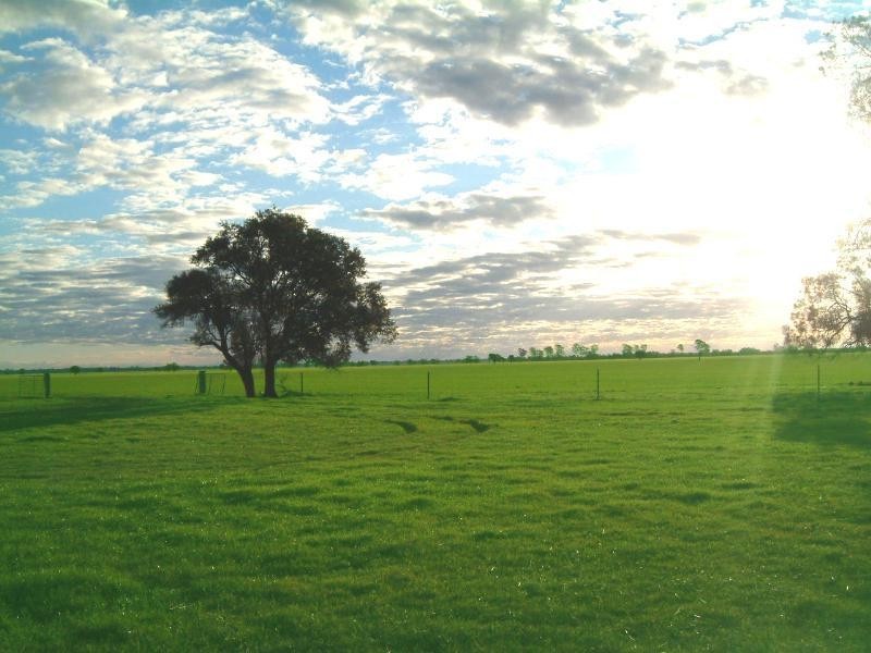 ‘Maranoa’ Merrinong Road, Collie NSW 2827