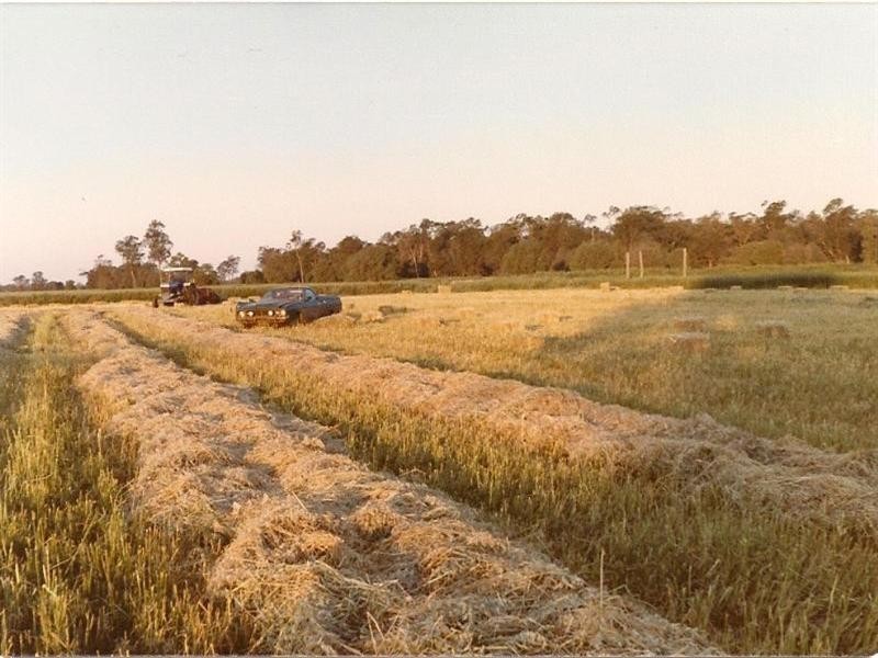 ‘Maranoa’ Merrinong Road, Collie NSW 2827