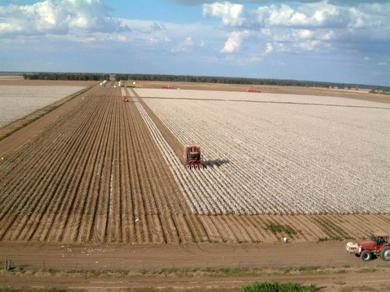 ‘Maranoa’ Merrinong Road, Collie NSW 2827