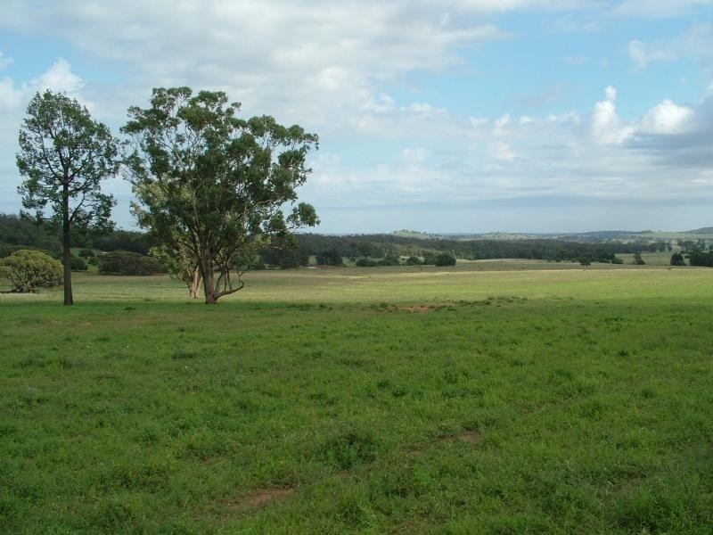 Glen Harvey, Peak Hill NSW 2869