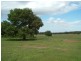 Glen Harvey, Peak Hill NSW 2869