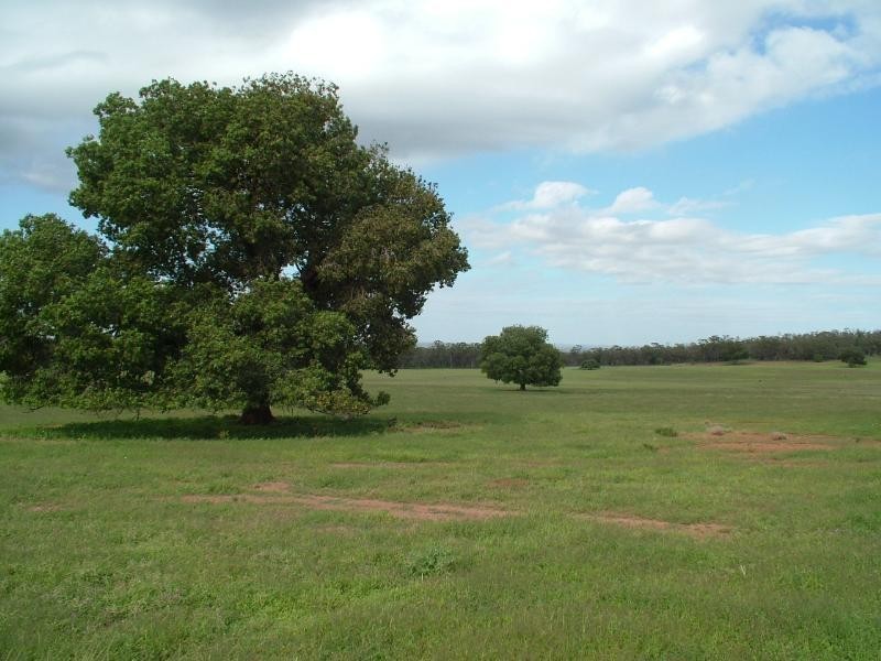 Glen Harvey, Peak Hill NSW 2869