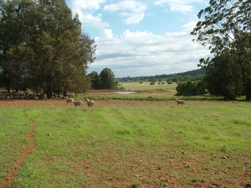 Glen Harvey, Peak Hill NSW 2869