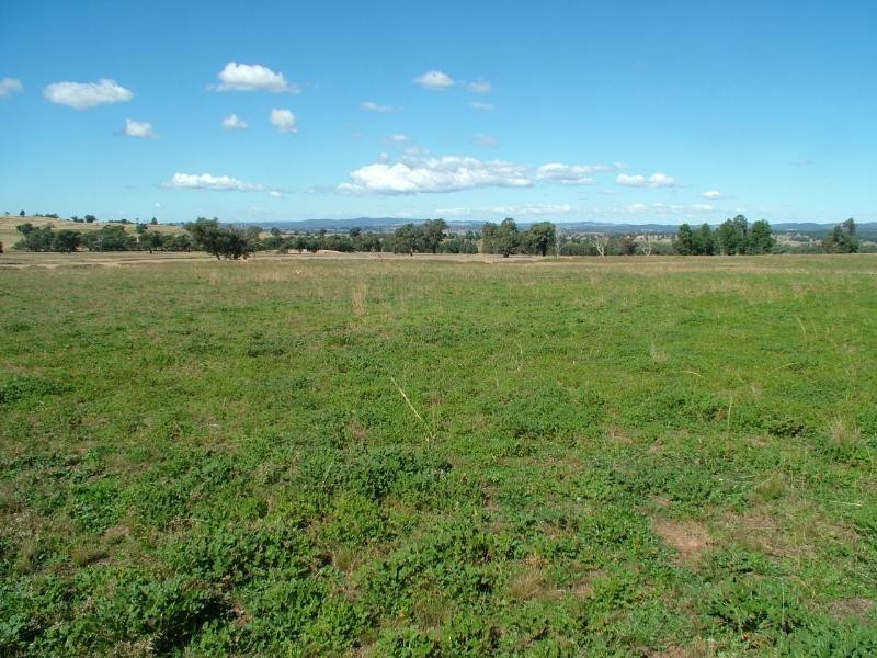 ‘TILPAROO’ OBLEY ROAD, TOONGI, Dubbo NSW 2830