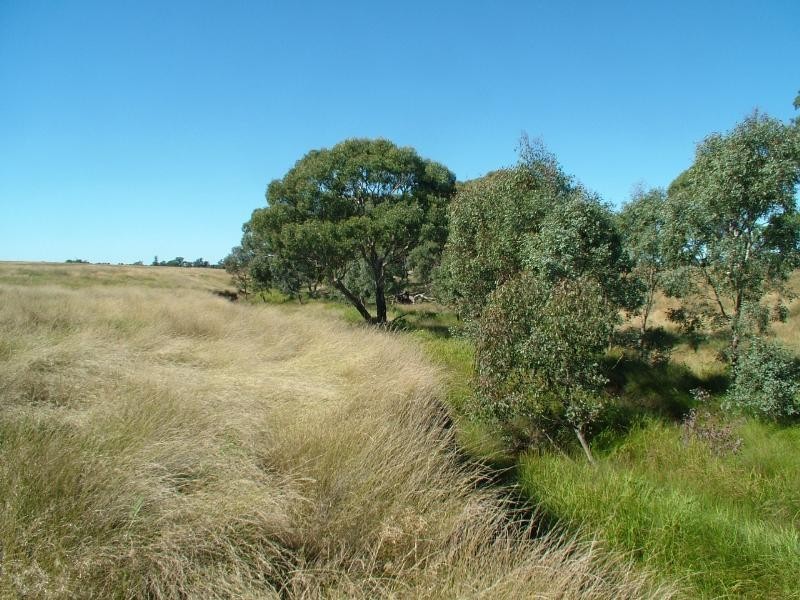 ‘TILPAROO’ OBLEY ROAD, TOONGI, Dubbo NSW 2830