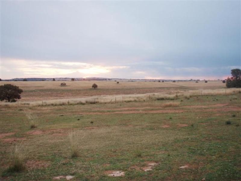 543 Comobella Road, Dubbo NSW 2830
