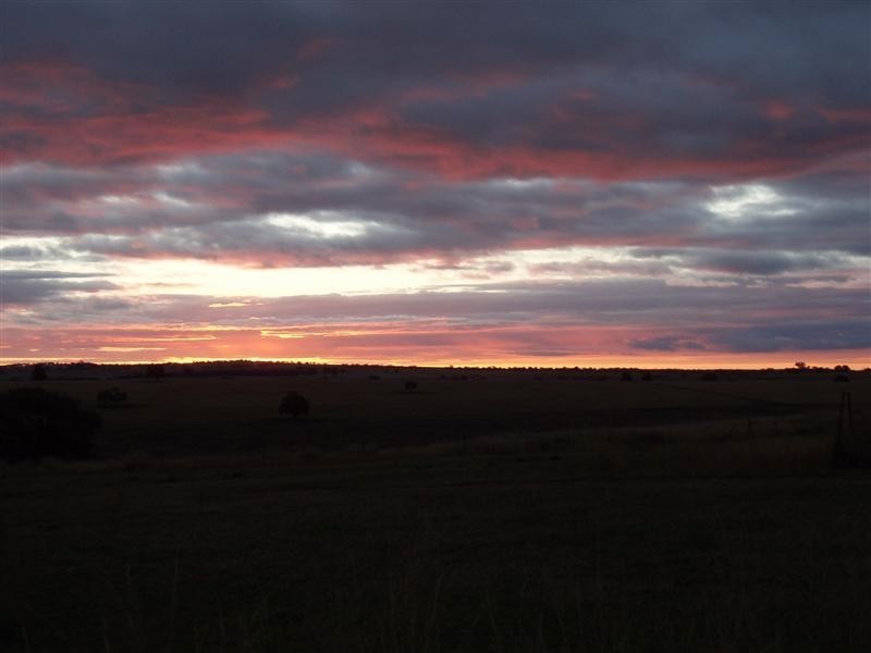 543 Comobella Road, Dubbo NSW 2830