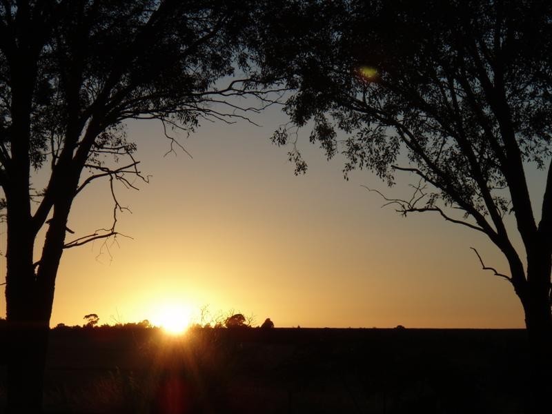 543 COMOBELLA Road, Dubbo NSW 2830