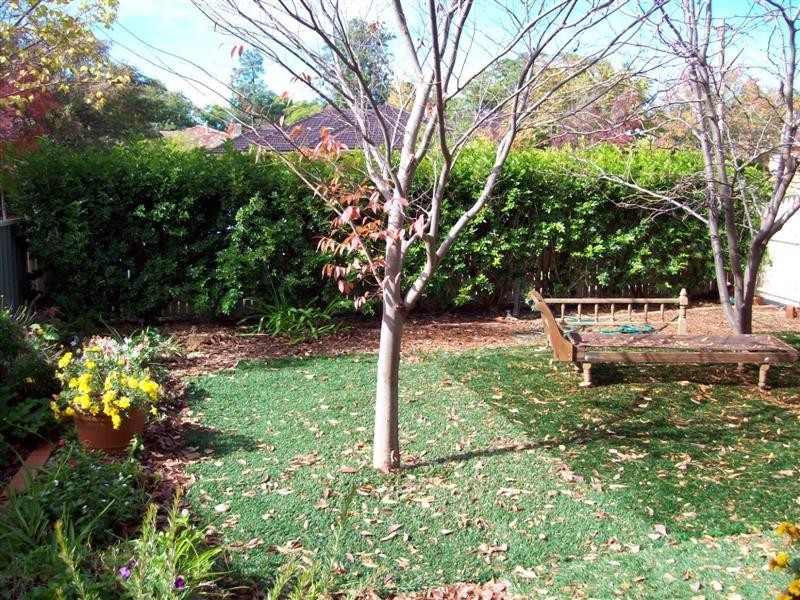 177 Gipps Street, Dubbo NSW 2830