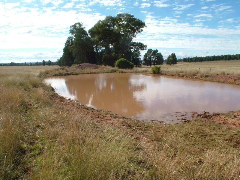 55L Narromine Road, Dubbo NSW 2830