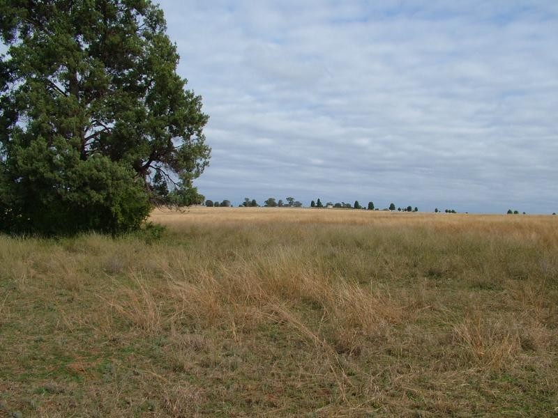 55L Narromine Road, Dubbo NSW 2830