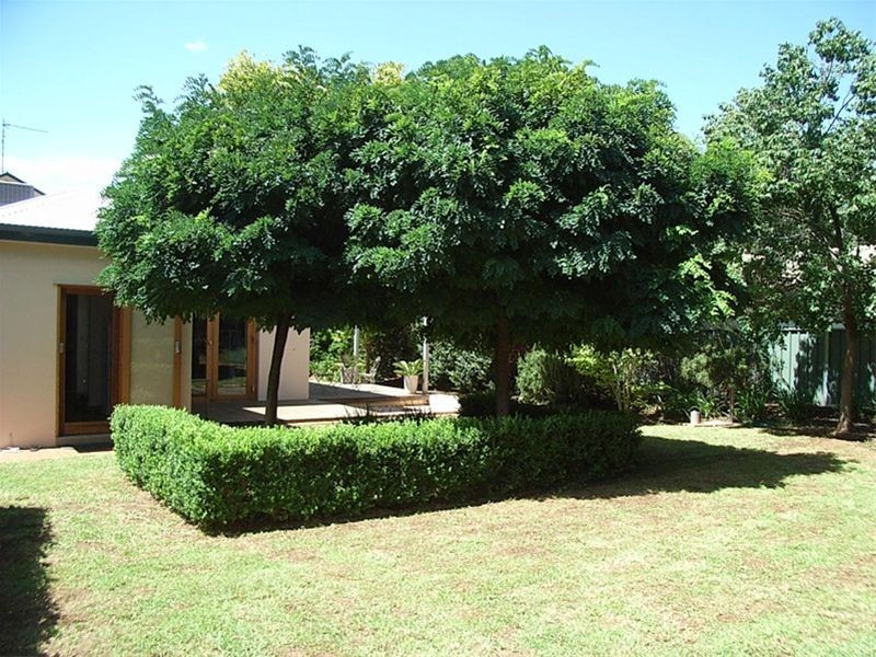 117 Cobra Street, Dubbo NSW 2830