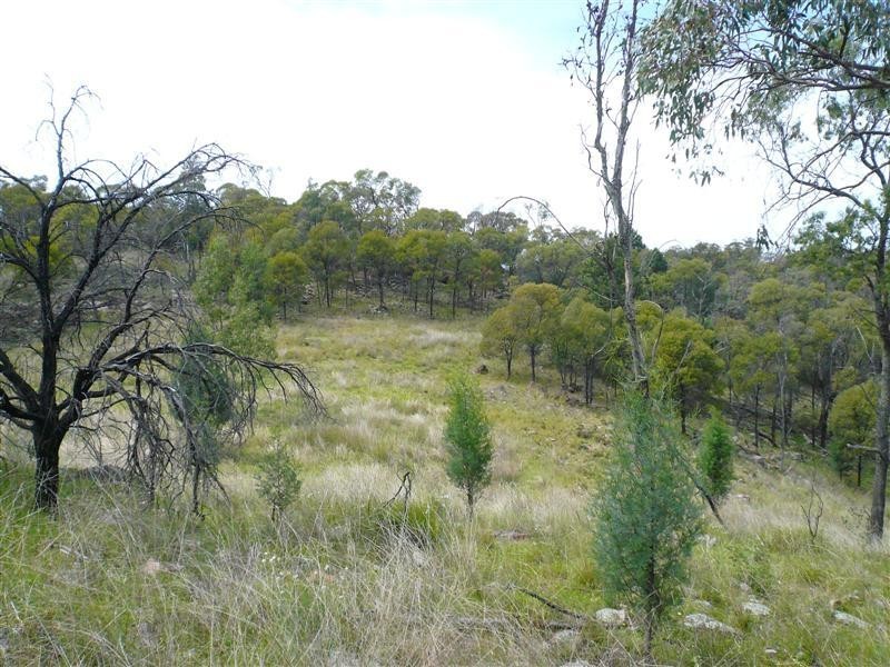 385R Obley Road, Dubbo NSW 2830