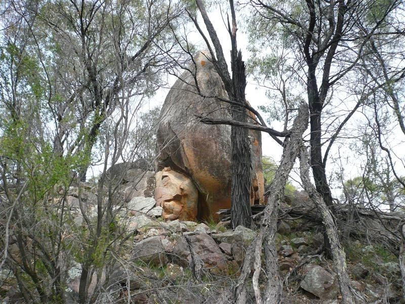 385R Obley Road, Dubbo NSW 2830