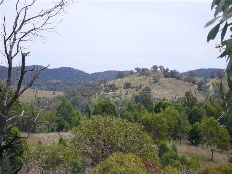 385R Obley Road, Dubbo NSW 2830