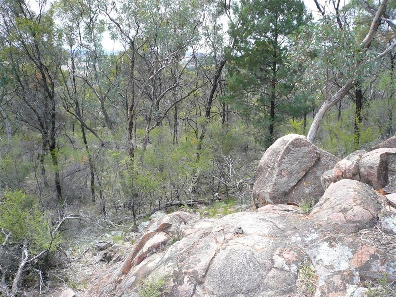 385R Obley Road, Dubbo NSW 2830