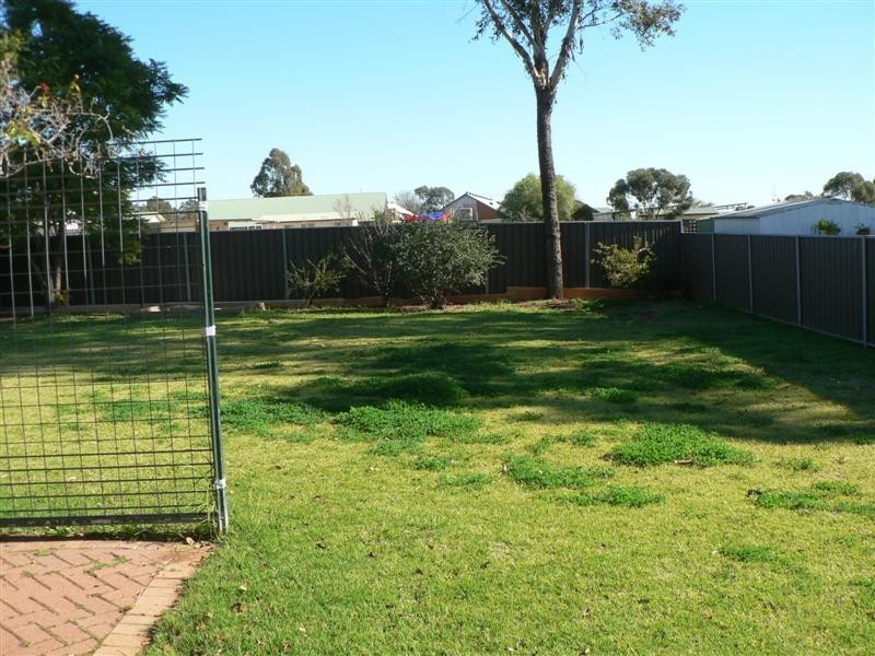99 Websdale Drive, Dubbo NSW 2830