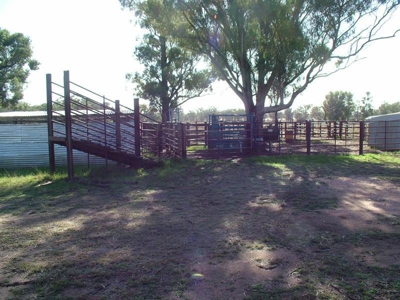 Eumungerie NSW 2831
