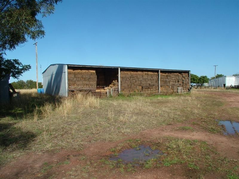 Eumungerie NSW 2831