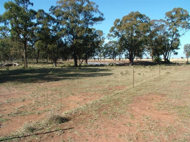 Eumungerie NSW 2831