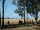 Eumungerie NSW 2831