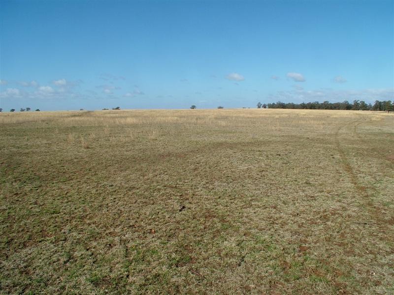 Eumungerie NSW 2831