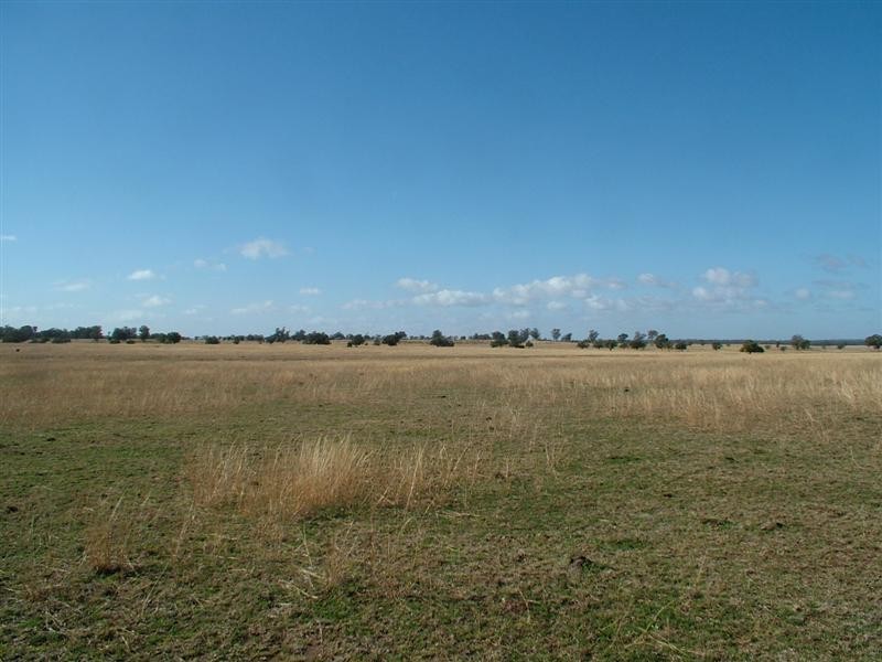 Eumungerie NSW 2831