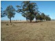 Eumungerie NSW 2831