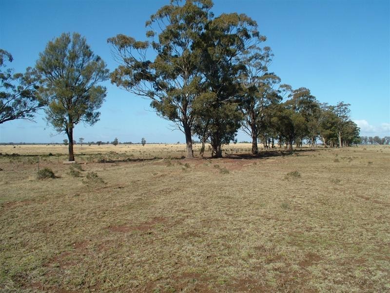 Eumungerie NSW 2831