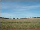 34L/ Lot 1011 and 1012 Pinedale Road, Dubbo NSW 2830