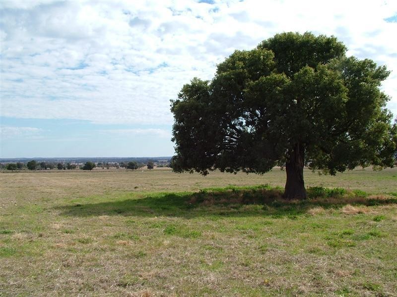 Lot 1011, 34L Pinedale Road, Dubbo NSW 2830