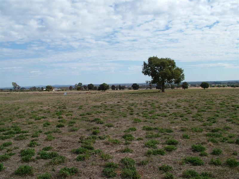 Lot 1011, 34L Pinedale Road, Dubbo NSW 2830