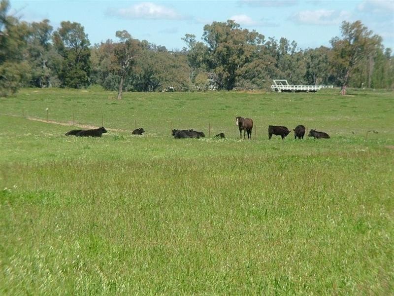 9R Rawsonville Bridge Road, Dubbo NSW 2830