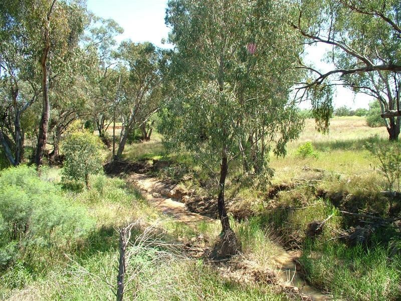 Boonabirra Castlereagh Highway, Mendooran NSW 2842