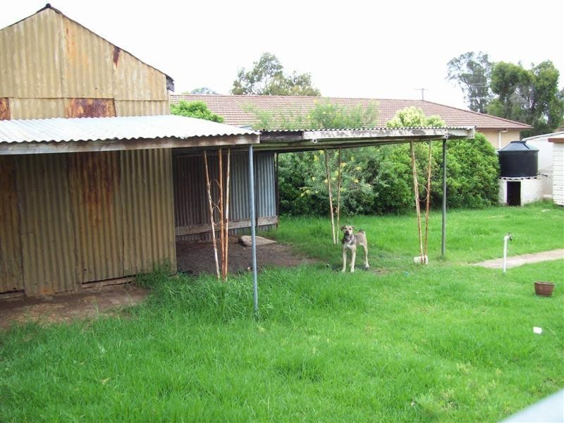 37 Bishop Street, Dubbo NSW 2830