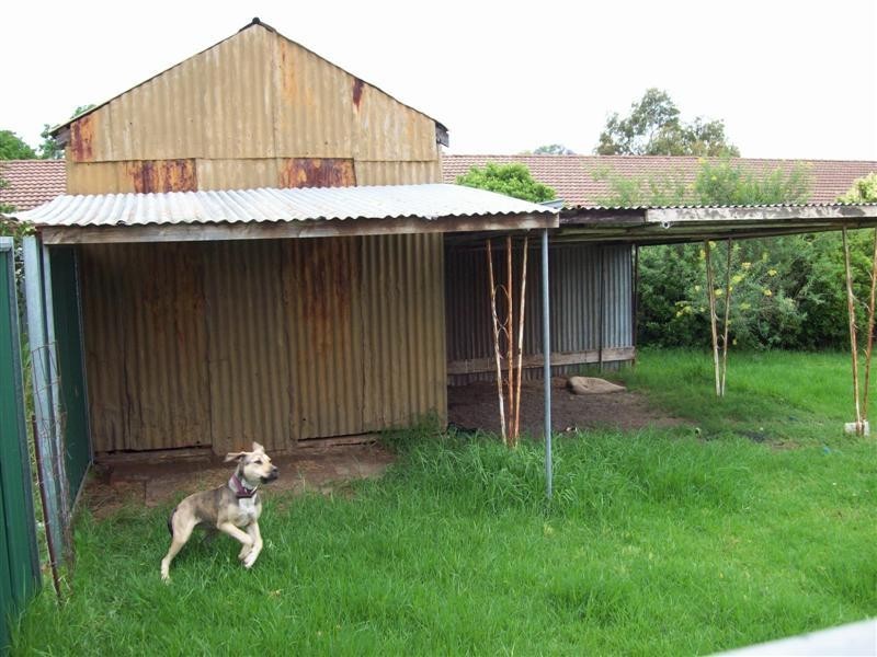 37 Bishop Street, Dubbo NSW 2830