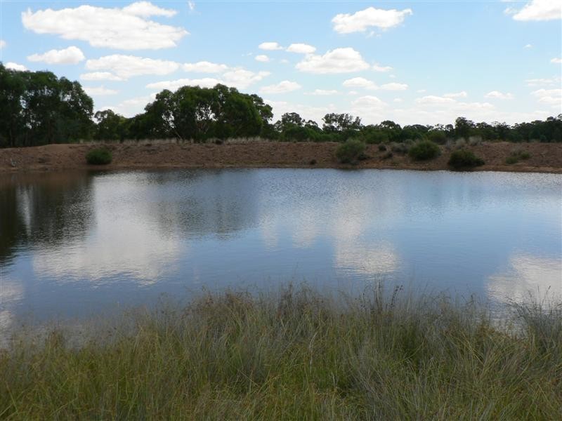 141L Jones Creek Road, Dubbo NSW 2830