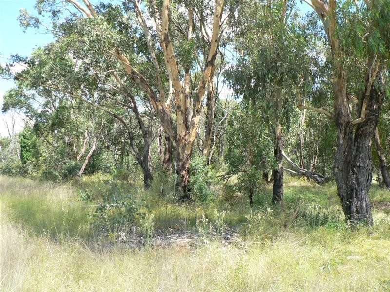 141L Jones Creek Road, Dubbo NSW 2830