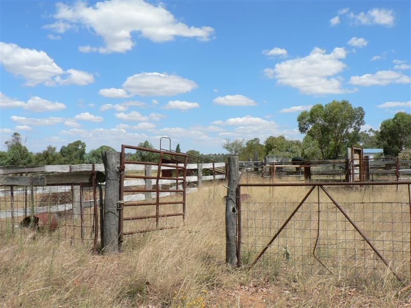 141L Jones Creek Road, Dubbo NSW 2830