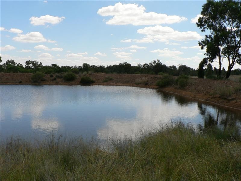 141L Jones Creek Road, Dubbo NSW 2830