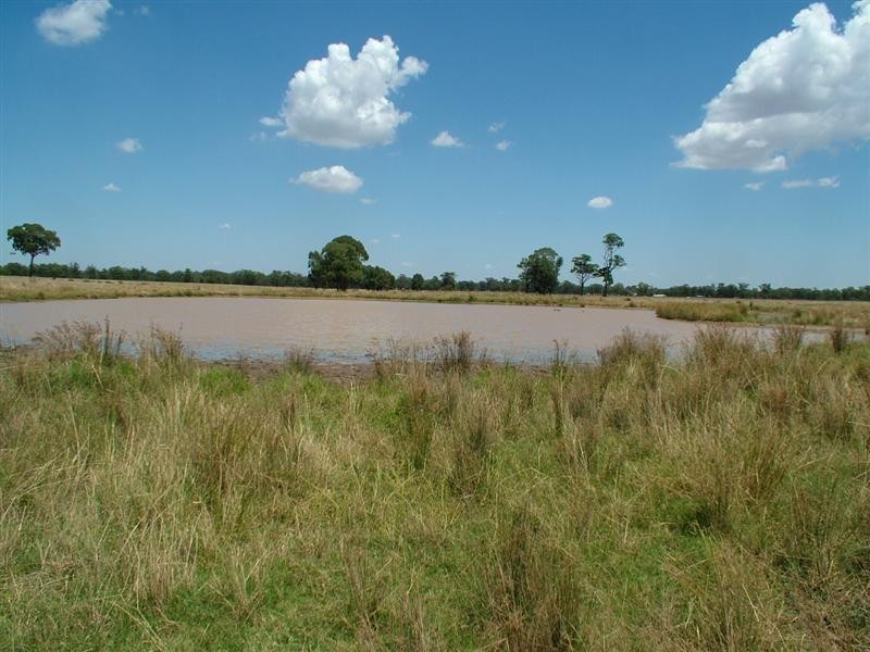 195R Gilgandra Road, Dubbo NSW 2830