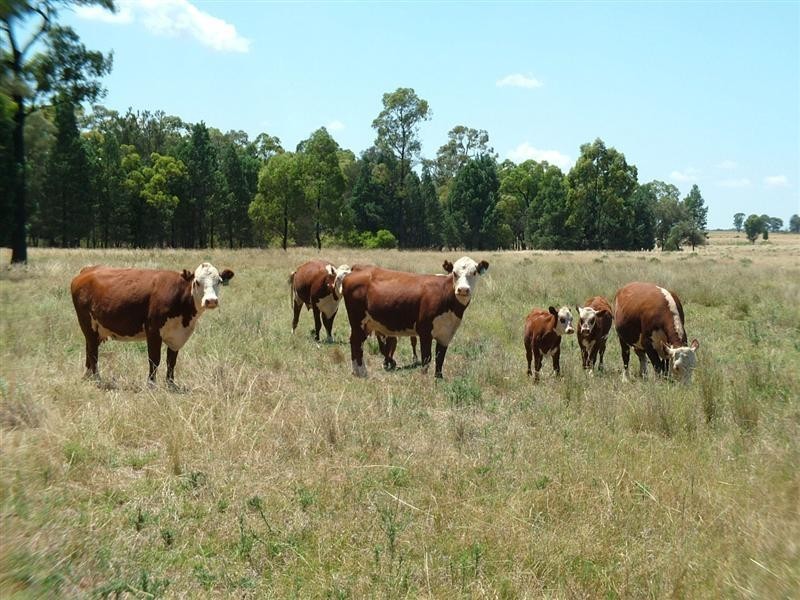 195R Gilgandra Road, Dubbo NSW 2830