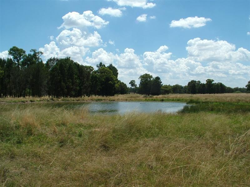 195R Gilgandra Road, Dubbo NSW 2830