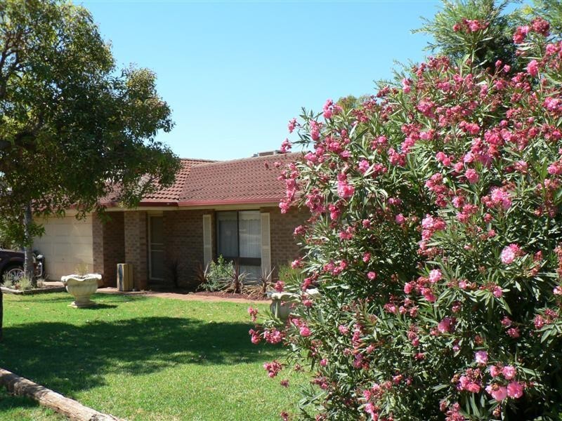 293 Myall Street, Dubbo NSW 2830