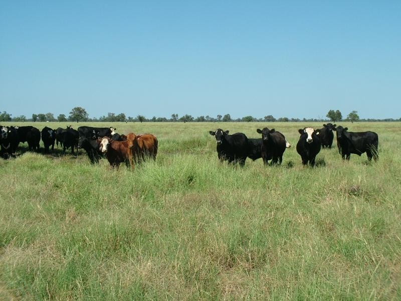 ‘Yallakool’ Wingadee Road, Coonamble NSW 2829