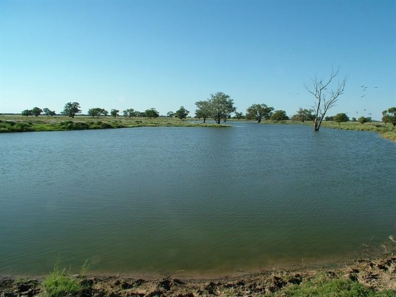 ‘Yallakool’ Wingadee Road, Coonamble NSW 2829
