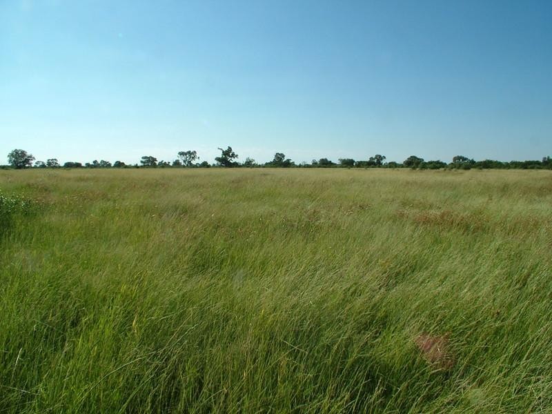 ‘Yallakool’ Wingadee Road, Coonamble NSW 2829
