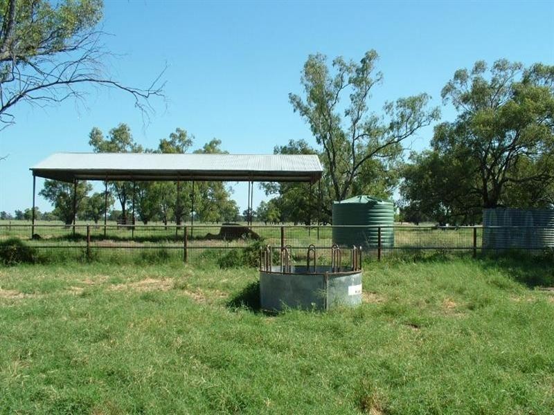 ‘Yallakool’ Wingadee Road, Coonamble NSW 2829