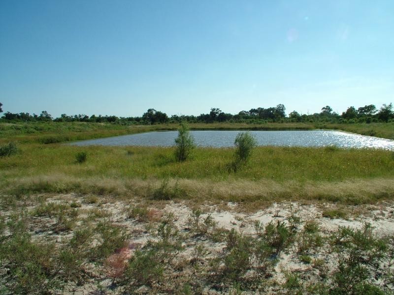 ‘Yallakool’ Wingadee Road, Coonamble NSW 2829