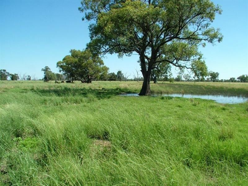 ‘Yallakool’ Wingadee Road, Coonamble NSW 2829